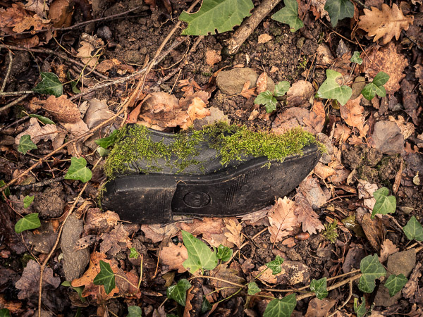 una sabata coberta de molsa, perduda pels boscos de l'alta Garrotxa, fotografia de Pau Guerrero